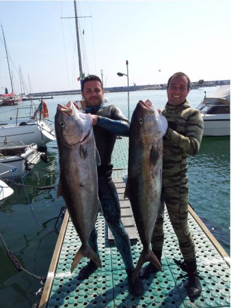pesca civitanova 2 ricciole