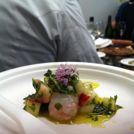 pesca saturnia e scampi