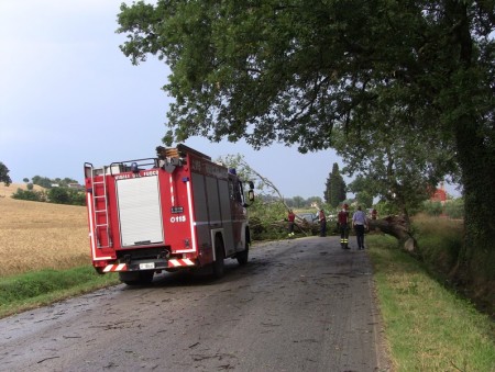 L'intervento dei vigili del fuoco (foto: Radioerre)