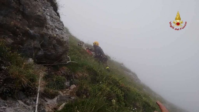 Il pastore del Caucaso soccorso dai vigili del fuoco