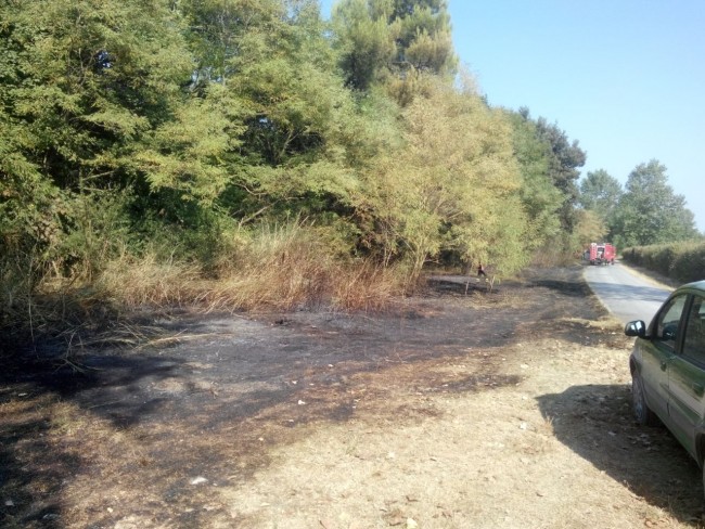 Incendio Osimo bonificato