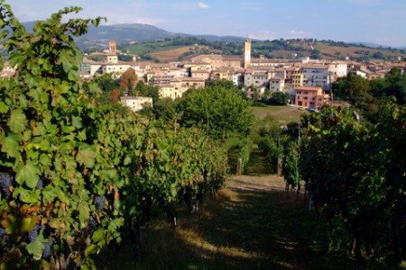 La città di Matelica vista dai vigneti
