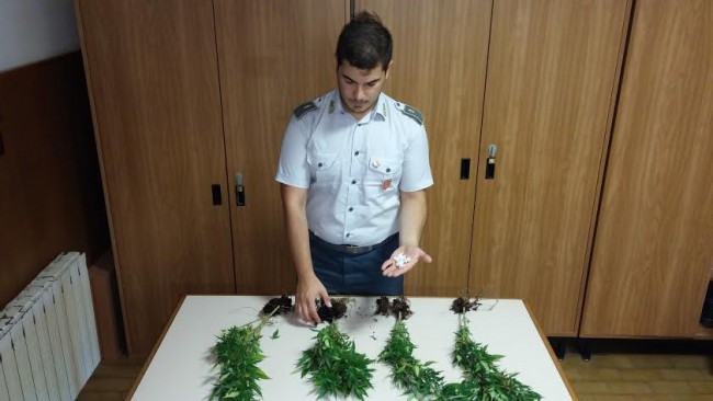 La marijuana e l'eroina sequestrate dalla guardia di finanza