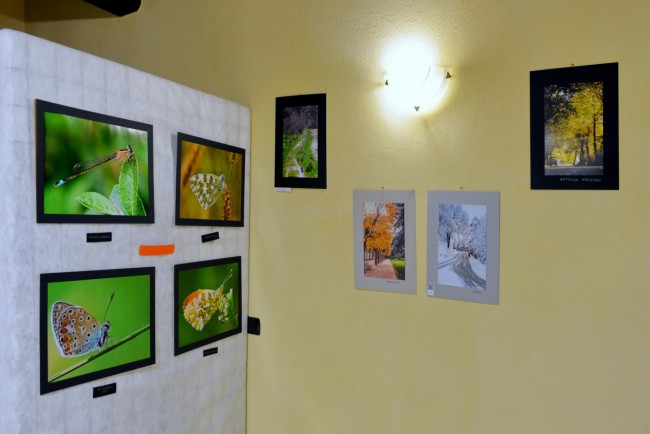 Mostra fotografica - Artistrada 2015_01_resize