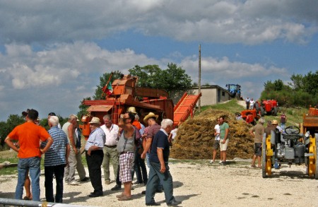 Sant'Elena in festa