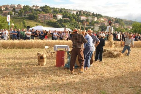 Scene della trebbiatura
