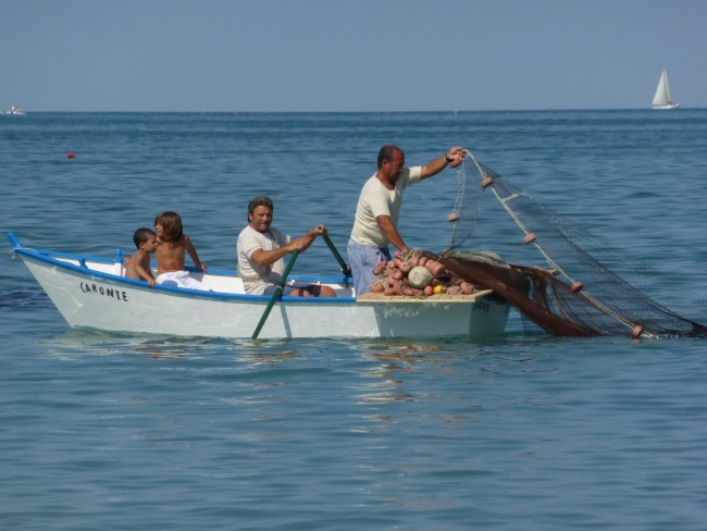 Sciabbeca civitanova 2015 (10)
