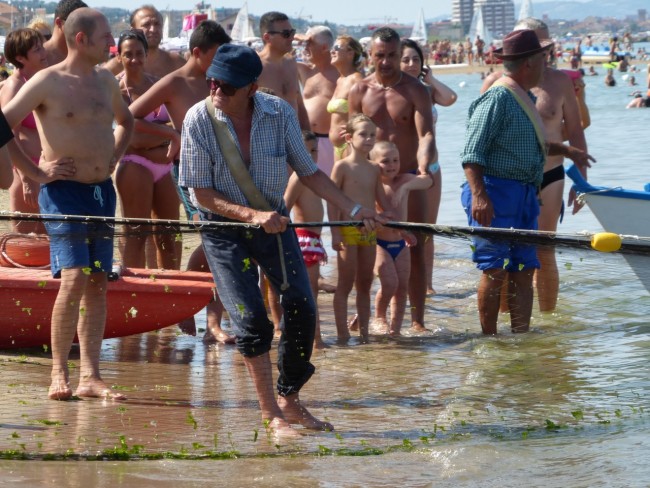 Sciabbeca civitanova 2015 (11)