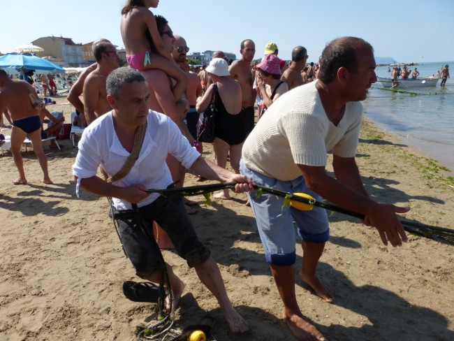 Sciabbeca civitanova 2015 (12)