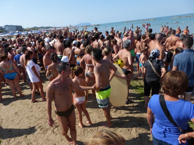Sciabbeca civitanova 2015 (19)