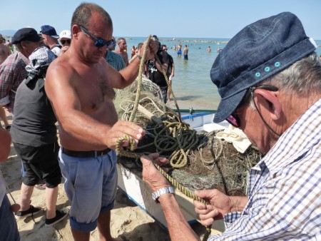 Sciabbeca civitanova 2015 (3)