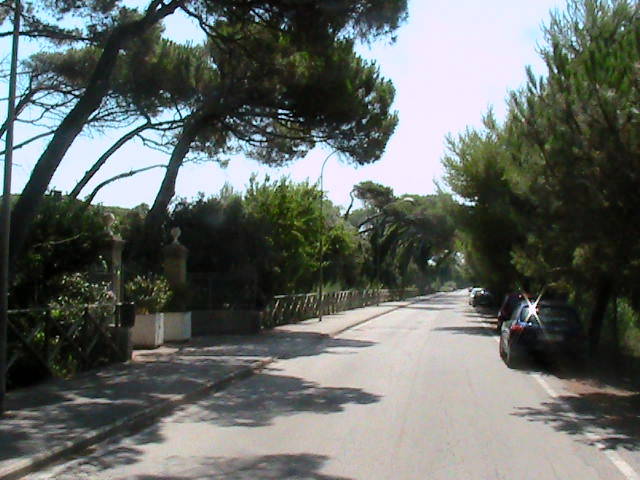 Uno scorcio di viale della Repubblica