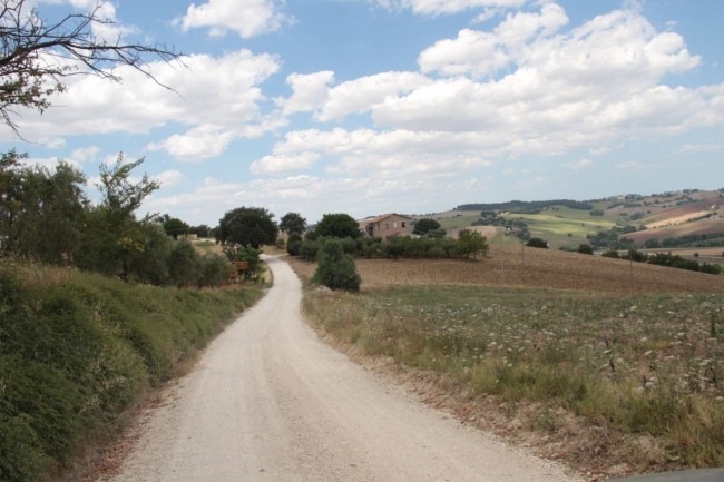 cacciatore ferito da api montefano vecchio foto ap 4