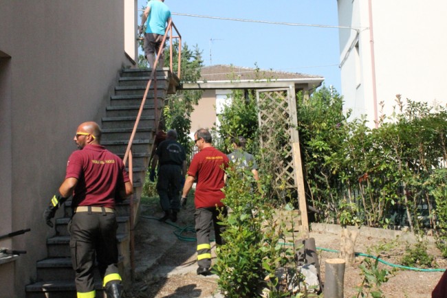 capriolo civitanova (4)