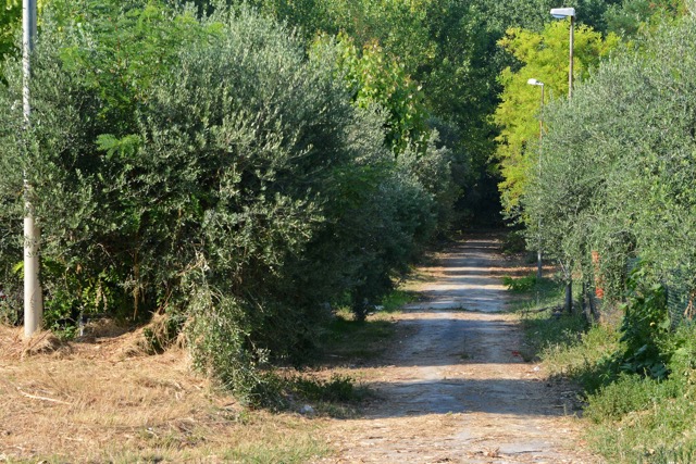 Le ex Giare ora ripulite dal Comune