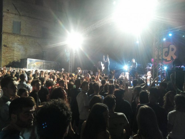 festivalbeer 5