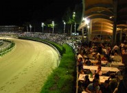 Gli spalti dell'ippodromo Martini