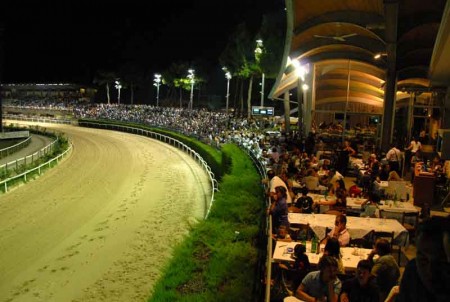 Gli spalti dell'ippodromo Martini