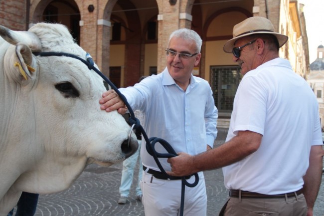 mezzogiorno italiano rai 1 a macerata carancini foto ap 28