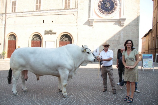 mezzogiorno italiano rai 1 a macerata monteverde foto ap 23