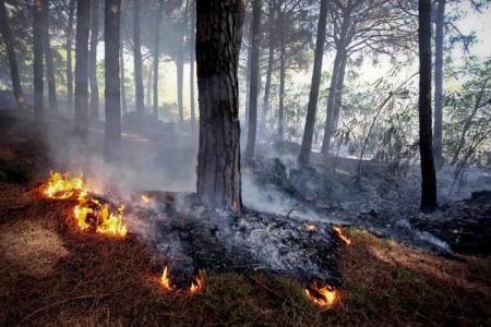 Canadair e vigili del fuoco al lavoro su due incendi di vaste proporzioni che hanno interessato la zona di Pozzuoli ed un versante del Vesuvio, 04 settembre 2013. ANSA/CIRO FUSCO