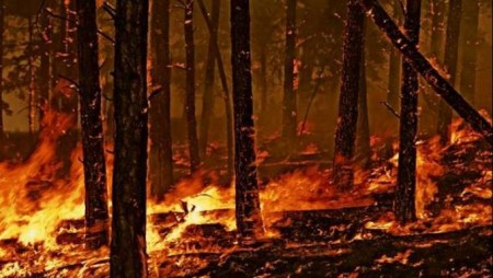 prevenzione incendi (2)
