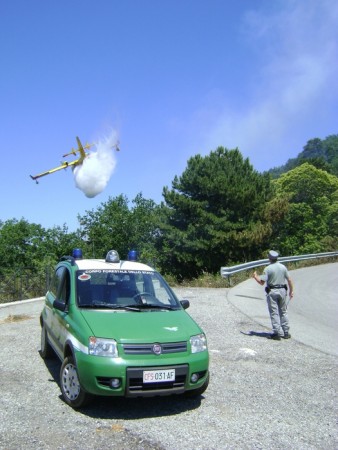 Cfs arresta un uomo sorpreso ad appiccare fuoco in zona rurale.