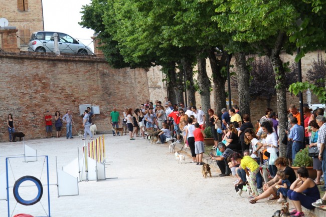 sagra_tortellino_01