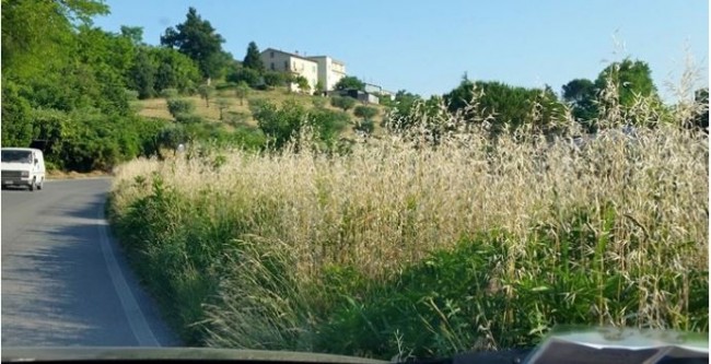 segnaletica verticale mogliano 3