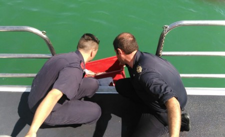 Gli uomini della guardia costiera recuperano la tartaruga