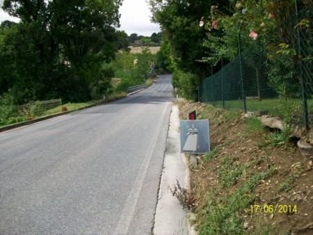 treiese
