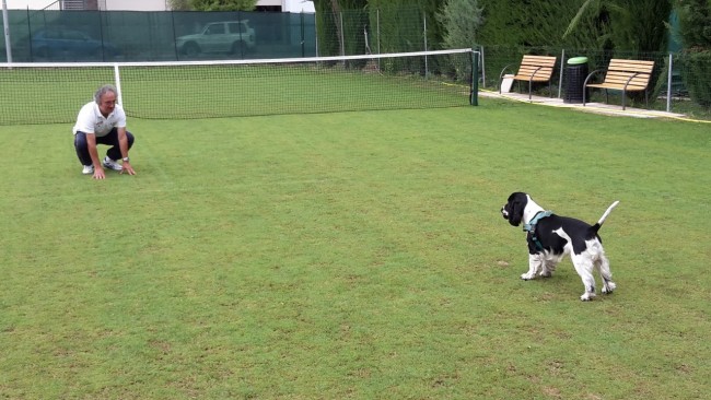 Campo tennis in erba a Pollenza (1)
