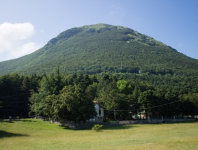 Monte Faldobono