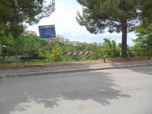 Verde Macerata (30)