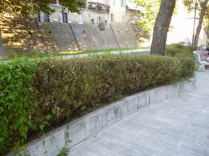 Verde Macerata (5)
