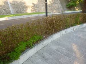 Verde Macerata (6)
