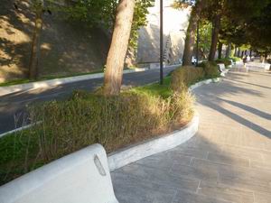 Verde Macerata (7)