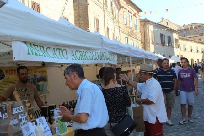 apimarche (2)