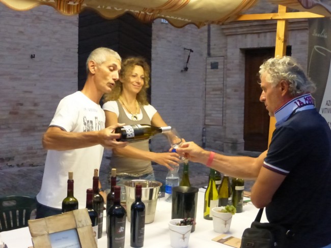 calici di stelle 2015 morrovalle (24)