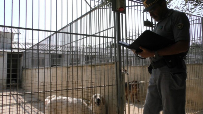 controllo cani