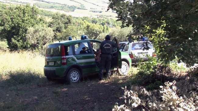 discarica maiali loro piceno 2