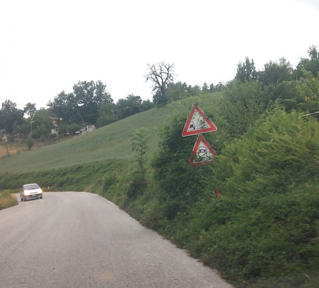 erba alta camporotondo tondi (10)