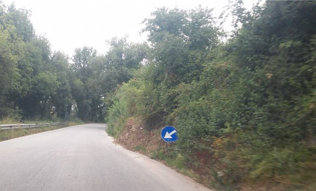 erba alta camporotondo tondi (11)