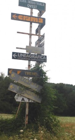 erba alta camporotondo tondi (2)