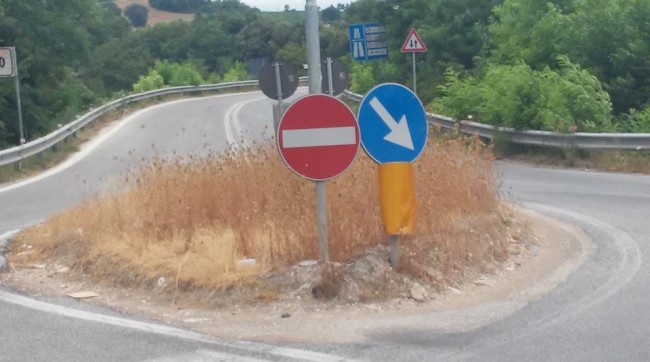erba alta camporotondo tondi (4)