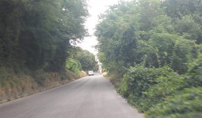 erba alta camporotondo tondi (5)