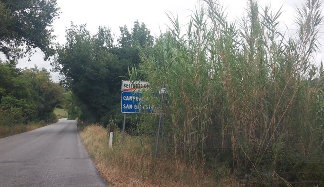 erba alta camporotondo tondi (7)
