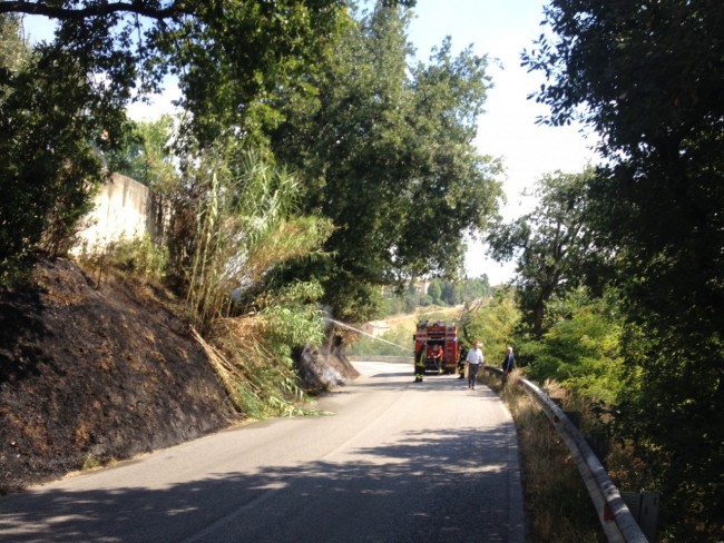 incendio sterpaglie sangiusto 2 (1)
