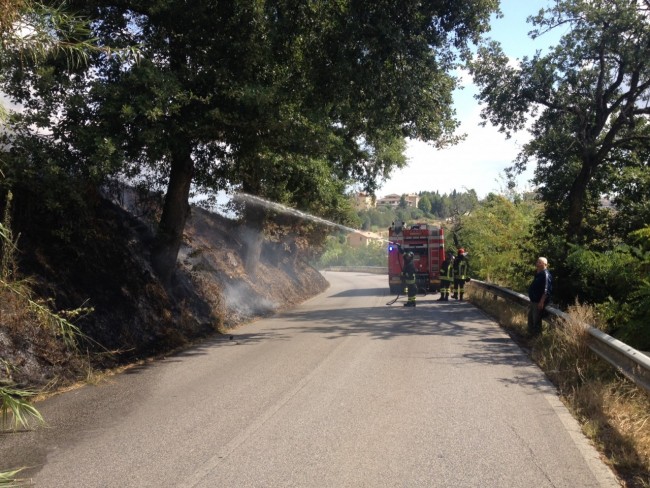 incendio sterpaglie sangiusto 2 (2)
