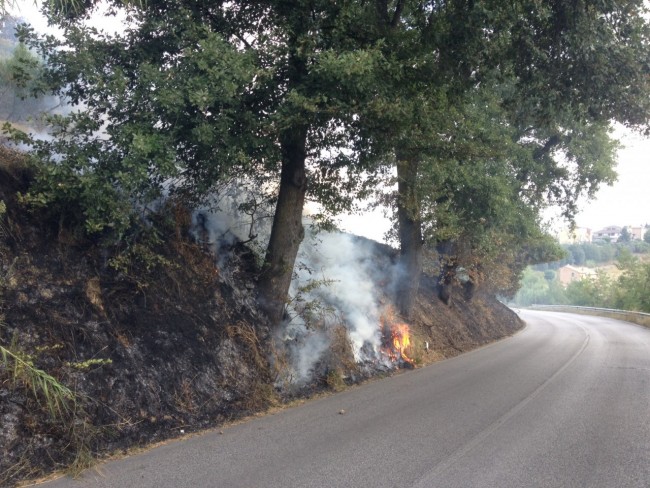 incendio strerpagliesangiusto (1)